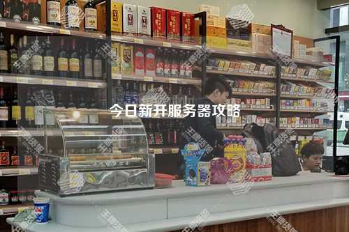 今日新開服務器攻略