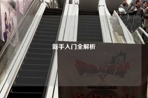 新手入門全解析