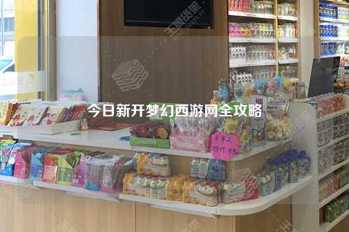 今日新開夢幻西游網全攻略