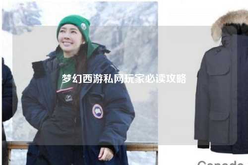 夢幻西游私網玩家必讀攻略