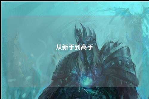 從新手到高手