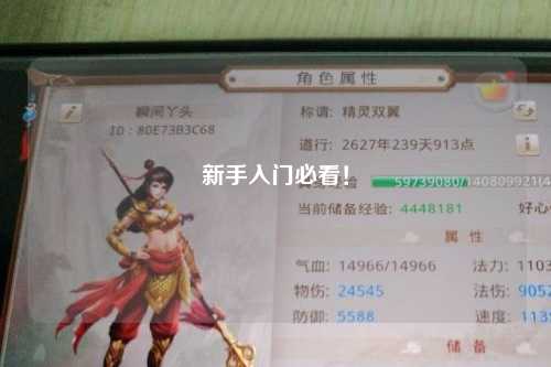 新手入門必看！