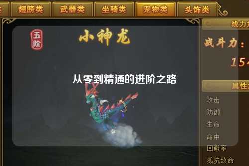 從零到精通的進階之路