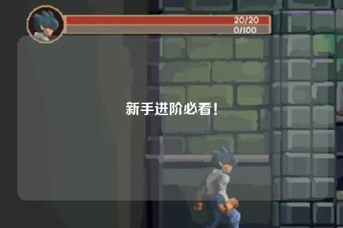 新手進階必看！