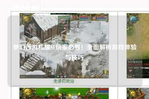 夢幻西游私服SF玩家必看！全面解析游戲體驗與技巧