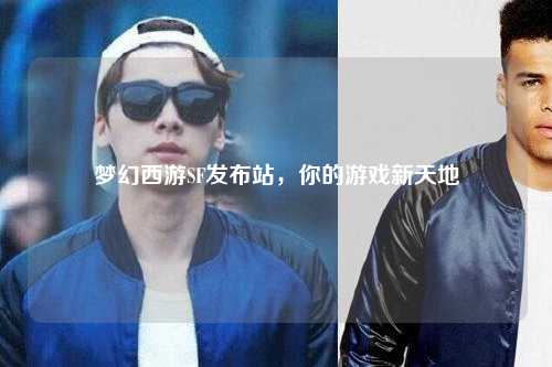 夢幻西游SF發布站，你的游戲新天地