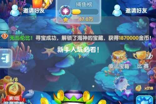 新手入坑必看！