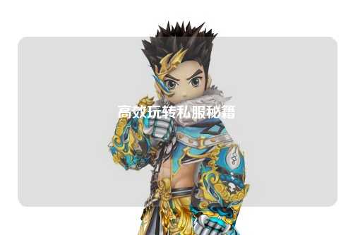 高效玩轉私服秘籍