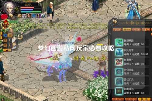 夢幻西游私網玩家必看攻略