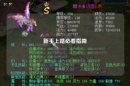 新手上路必看指南