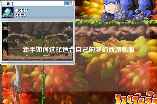 新手如何選擇適合自己的夢幻西游私服