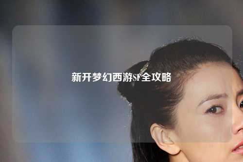 新開夢幻西游SF全攻略