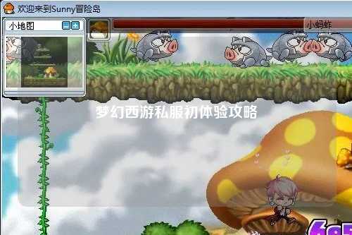夢幻西游私服初體驗攻略