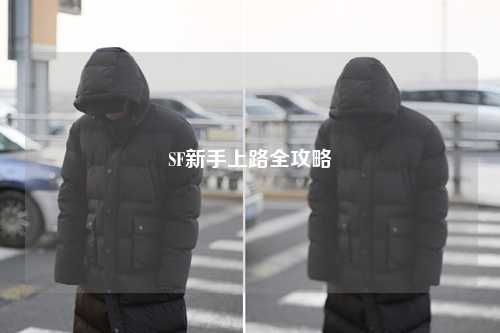 SF新手上路全攻略