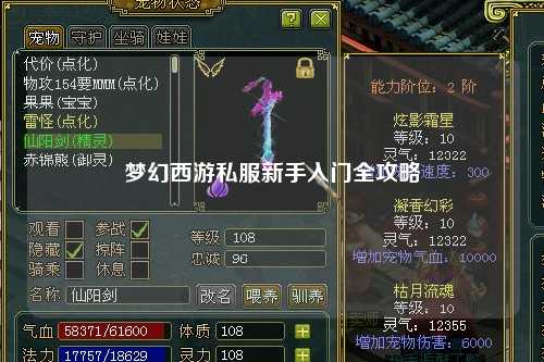 夢幻西游私服新手入門全攻略