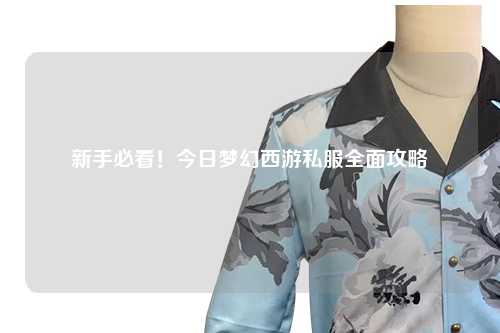 新手必看！今日夢幻西游私服全面攻略