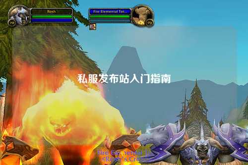 私服發布站入門指南