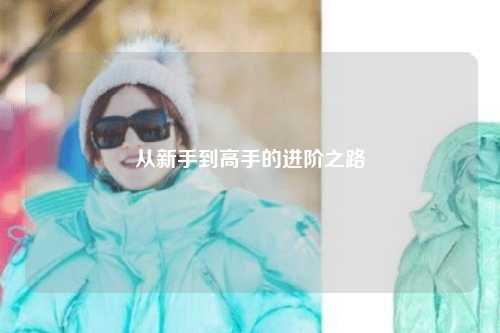 從新手到高手的進階之路