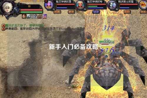 新手入門必備攻略