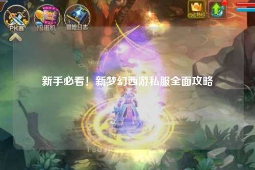 新手必看！新夢幻西游私服全面攻略