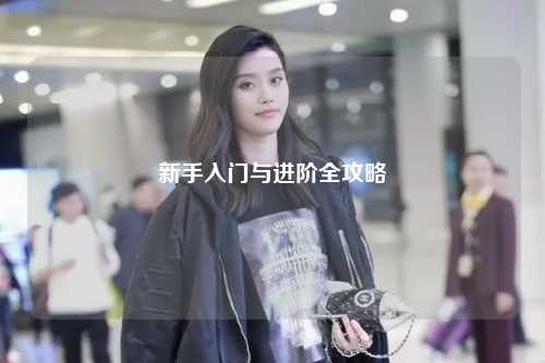 新手入門與進階全攻略