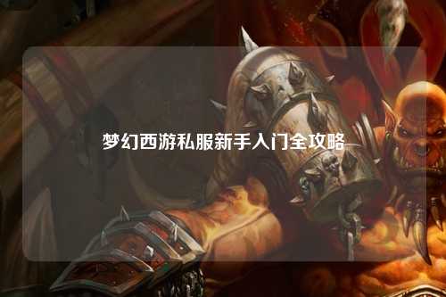 夢幻西游私服新手入門全攻略