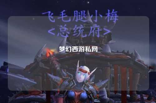 夢幻西游私網