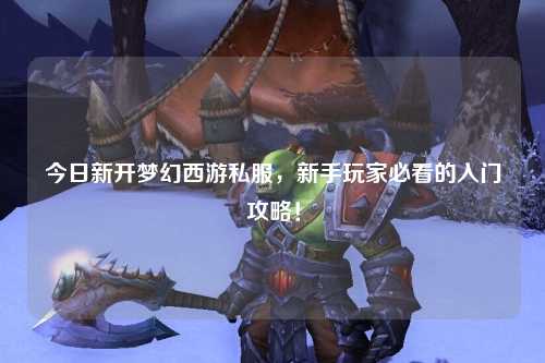 今日新開夢幻西游私服，新手玩家必看的入門攻略！